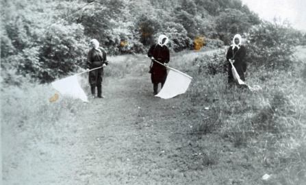 История службы ожила с помощью нейросети