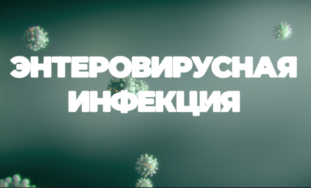 Врач-эпидемиолог о профилактике энтеровирусной инфекции (видео)