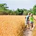 Безопасные каникулы: приглашаем родителей принять участие в опросе проекта «Санпросвет»